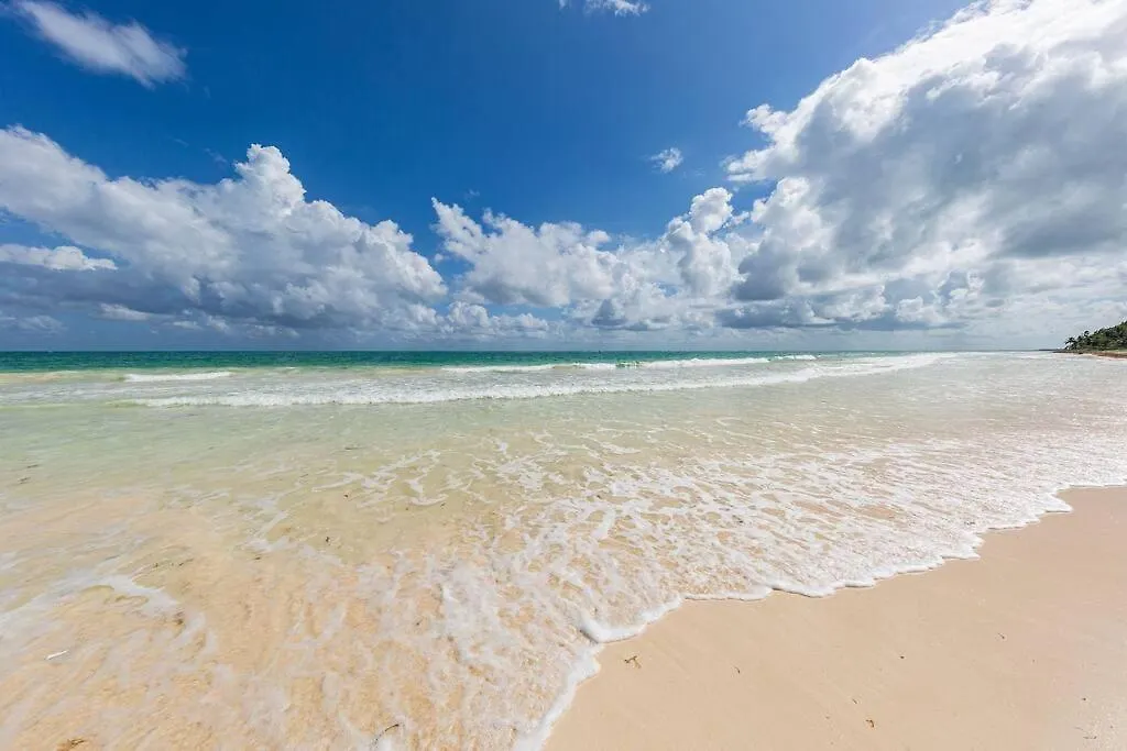 Vila Rancho Pepo - Sian Ka'An Biosphere Beach House Tulum Prázdninový dům